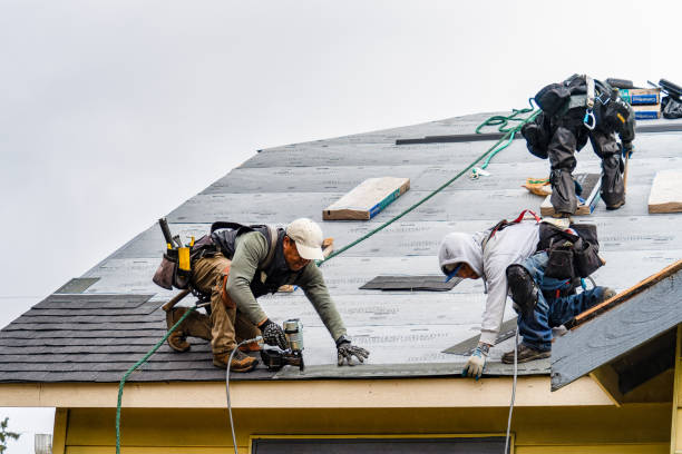 Professional Roofing technician working in San Mateo, FL